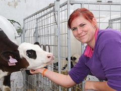 Covid překazil dny otevřených dveří v zemědělských podnicích