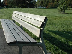 Rekultivace berounských parků pokračuje, nové výsadby a posezení se nyní dočká i prostor před Akádou
