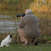 Zážitek v přístavu Baťova kanálu: výstava Czech Nature Photo bude k vidění do poloviny srpna