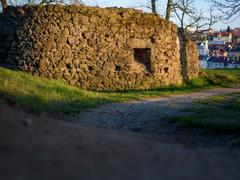 Na Hrádku v Třebíči přibudou stromy, louky i veřejný gril. Revitalizace začíná