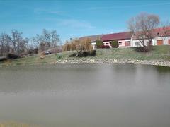 Ve Smolíně se chystá revitalizace mokřadu a výsadba zeleně