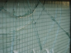 V Dolních Kounicích se množí případy vandalismu