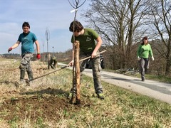 Rosice opět krášlí ovocné stromy, které navazují na tradici našich předků