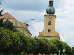 Obyvatelé Březiny se rozhodovali, zda pokácí, nebo přesadí překážející lípy