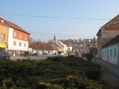 Kácení v Lysicích provází řada vážných podezření