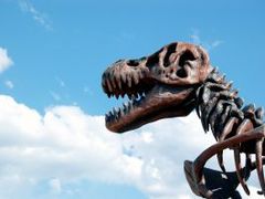 Ve westernovém městečku jsou i dinosauři