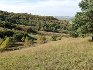 Co hýbalo Kyjovskem: Nejčtenější články roku 2025 přinášejí kriminální zprávy