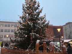 V Blansku se můžete těšit na rozsvěcení stromečku a bohatý kulturní program během adventu