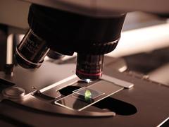 Lékařům v Klaudiánově nemocnici v Mladé Boleslavi slouží nové Centrální laboratoře