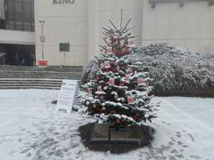 Třebíčský Ježíšek je tu. Splnit přání některému z osamělých seniorů v Třebíči můžete i vy Třebíčský Ježíšek je tu. Splnit přání některému z osamělých seniorů v Třebíči můžete i vy