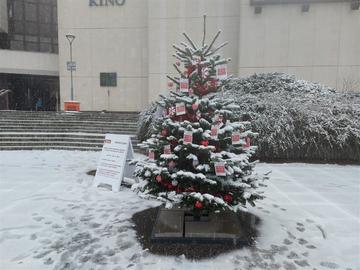 Třebíčský Ježíšek je tu. Splnit přání některému z osamělých seniorů v Třebíči můžete i vy