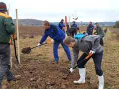 V Drásově vysadili novou alej. Podpoří biodiverzitu a zamezí erozi