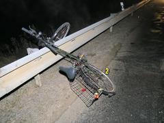 Řidič mezi Rakvicemi a Podivínem srazil cyklistku a ujel. Policisté hledají svědky