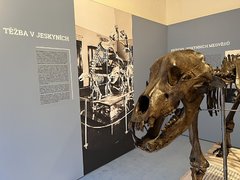 Muzeum Blanenska dokončuje novou stálou expozici Obrazy z Moravského Švýcarska