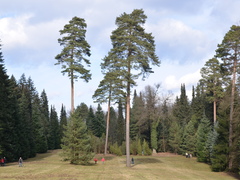 Uvidíte blahočet čilský: Arboretum Řícmanice se znovu otevřelo veřejnosti