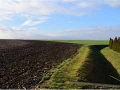 Akce Zasaď si svůj strom proběhla v obci Habrovany