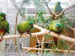Kraj rozdělí na projekty zaměřené na životní prostředí 27,5 milionů korun. Podpoří i Zoopark Zájezd