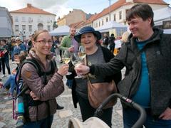 SOUTĚŽ: Vyhrajte vstupenky na květnové Slavnosti chřestu a vína v Ivančicích