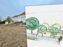 FOTO: U zámku v Rosicích vzniká Jabloňová terasa i vinice