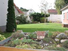 Domov bez zámku vstupuje do roku 2026: jubileum, nové začátky a společné chvíle