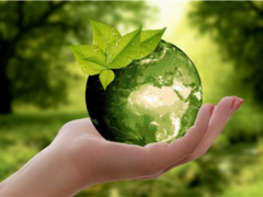 Adaptace na změnu klimatu: I na Pohořelicku hledáme nové cesty a způsoby