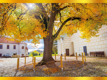 Výstava fotosoutěže Třebíč v maličkostech je v Předzámčí
