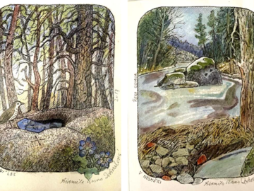 Muzeum Otokara Březiny zve na výstavu věnovanou českému básníkovi Janu Zahradníčkovi