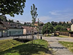 Oprava chodníku v Horní Palavě začne tento týden a částečně omezí dopravu