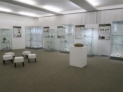 Muzeum Vysočiny Jihlava má otevřeno 7 dní v týdnu