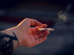 Dveřmi kuřimské trafiky prolétla kamenná kostka. Zloděj šel po cigaretách