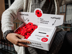 Nejen v Mníšku si můžete připomenout Den válečných veteránů