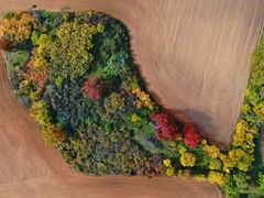 FOTO: Podzimní Náměšťsko hraje všemi barvami. Podívejte se, jak region zachytil fotograf