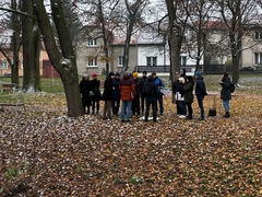 Líbí se vám chystaná revitalizace Jiráskových sadů v Českém Brodě? Zapojte se do ankety