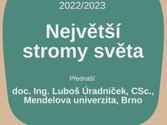 Ve vyškovské knihovně zazní přednáška o stromech