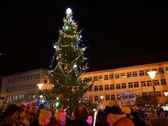 Vánoční strom v Suchém na Blanensku vyhrál krajskou soutěž krásy. Podpořte ho v celostátním hlasování