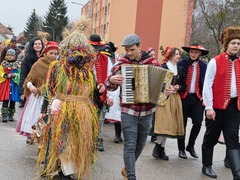 FOTO: V Židlochovicích se letos opět konaly Vostatky. Masopustní průvod přilákal desítky účastníků