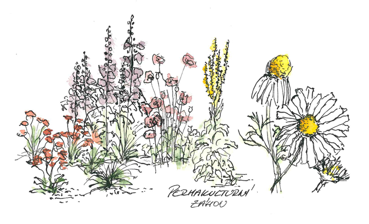 Permakulturni zahon.jpg