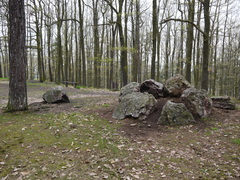 Hořovický les plný zážitků: Dražovka nabízí nové herní i naučné prvky