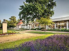 Kraj podpoří festival filmové hudby SOUNDTRACK Poděbrady 2026 částkou 2 miliony korun