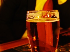 Máte rádi pivo? Pak si nenechte ujít pivní a hudební festival v Židlochovicích