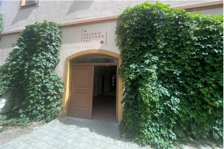Galerie Pruchod Trebic.png