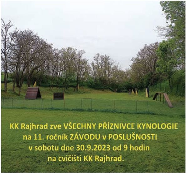 Pozvánka do kynologického klubu