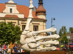 FOTO: Na venkovní výstavu Vidím sochy v Říčanech můžete vyrazit až do konce září