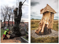 Jak se z historické lípy v Lobkovicích u Neratovic stal první městský úl