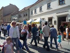 Vydejte se v sobotu 25. 6. na Náměšťského bloudila a další náměšťské akce
