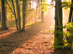 Pohořelický park čekají velké změny
