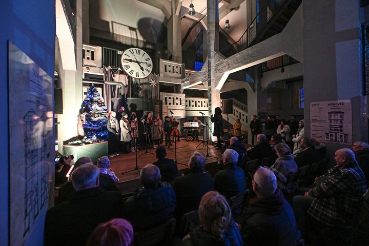 T1N_1398.jpg