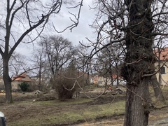 Park v Libčicích nad Vltavou čeká proměna, městská zeleň se tak zachová dalším generacím