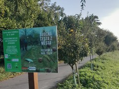 Ovocná cesta z města Vyškov soutěží o nejoblíbenější alej roku