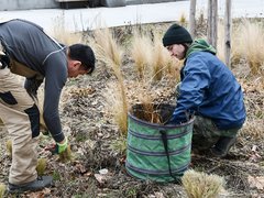 OBRAZEM: Zahradníci v Blansku se pustili do připrav květinových záhonů na jaro